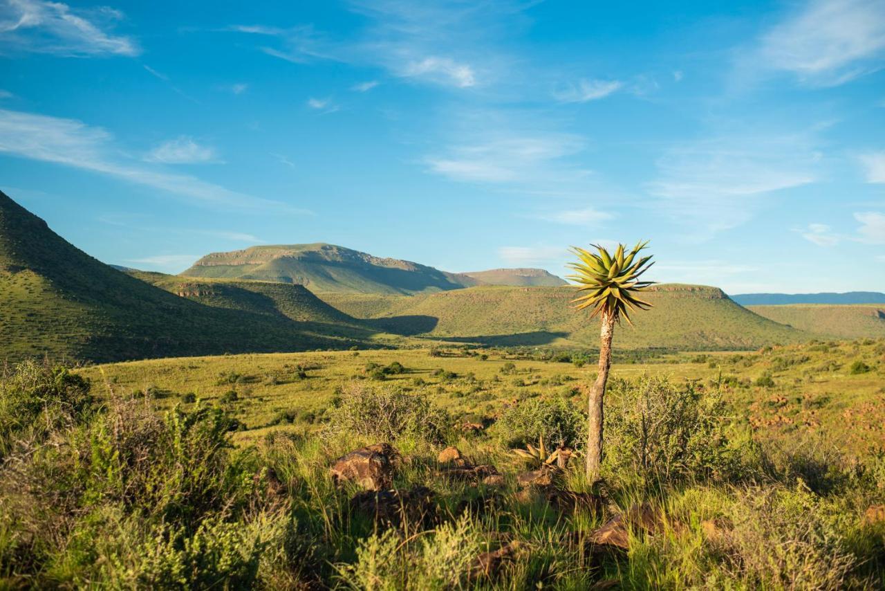 Glen Harry Game Reserve Graaff-Reinet Zewnętrze zdjęcie