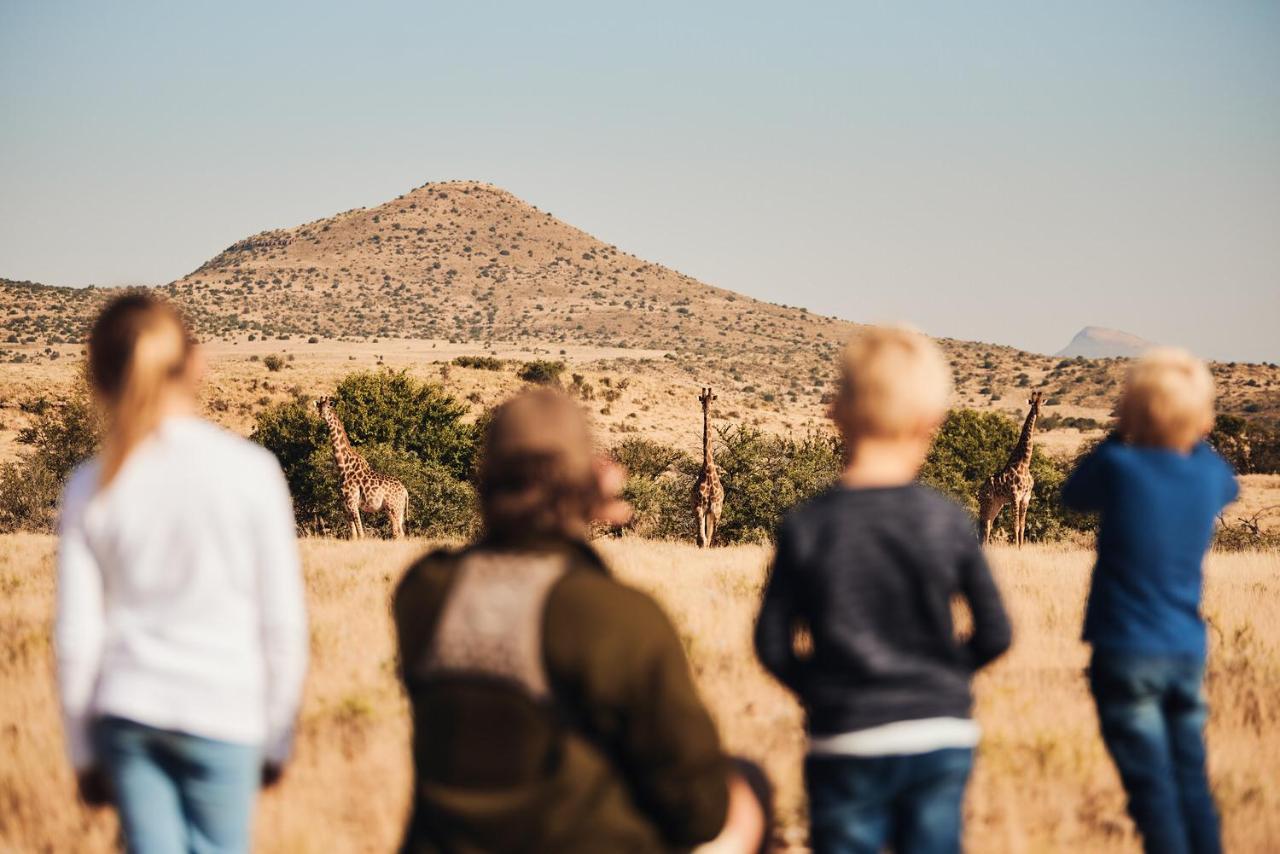 Glen Harry Game Reserve Graaff-Reinet Zewnętrze zdjęcie