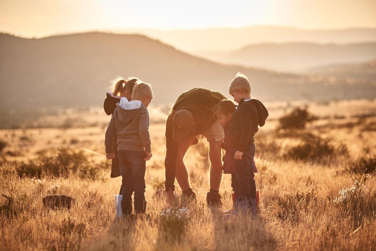 Glen Harry Game Reserve Graaff-Reinet Zewnętrze zdjęcie