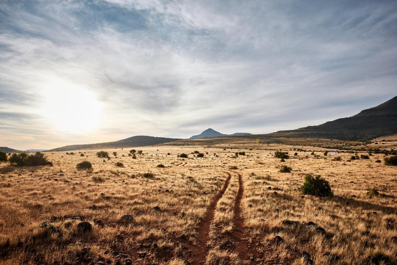 Glen Harry Game Reserve Graaff-Reinet Zewnętrze zdjęcie