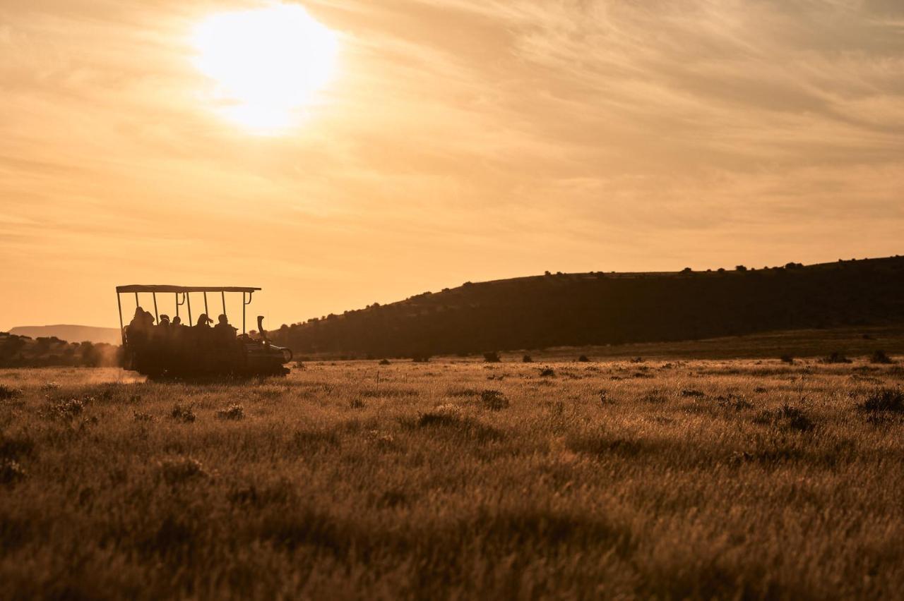 Glen Harry Game Reserve Graaff-Reinet Zewnętrze zdjęcie